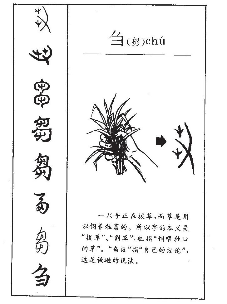 刍字字源字形
