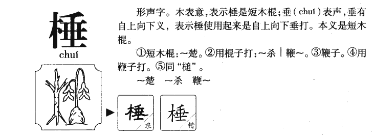 棰字字源字形