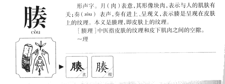 腠字字源字形