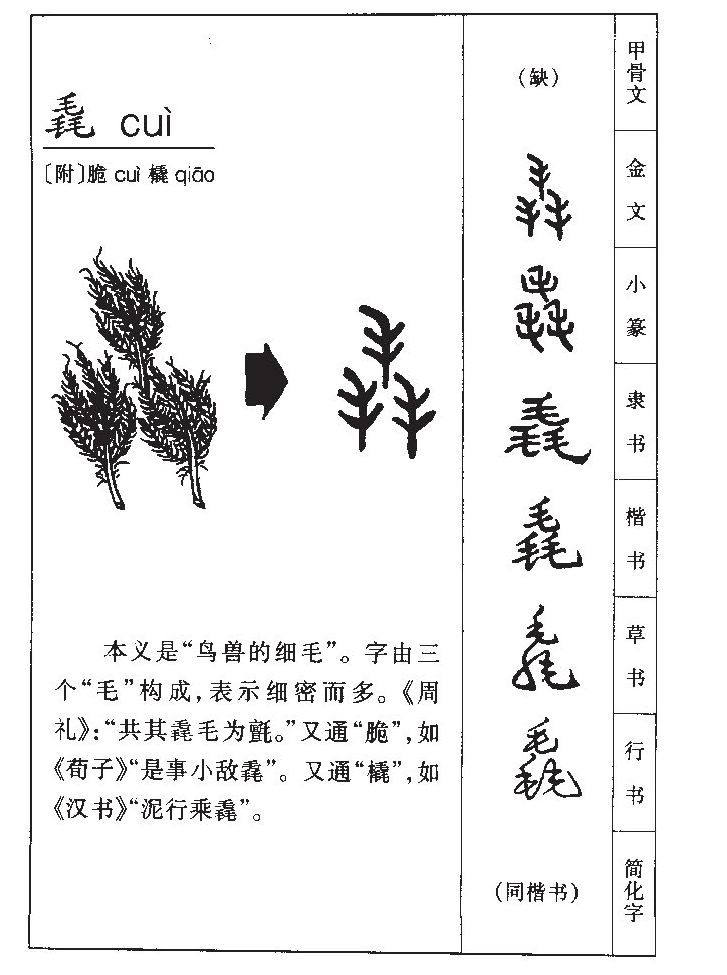 毳字字源字形