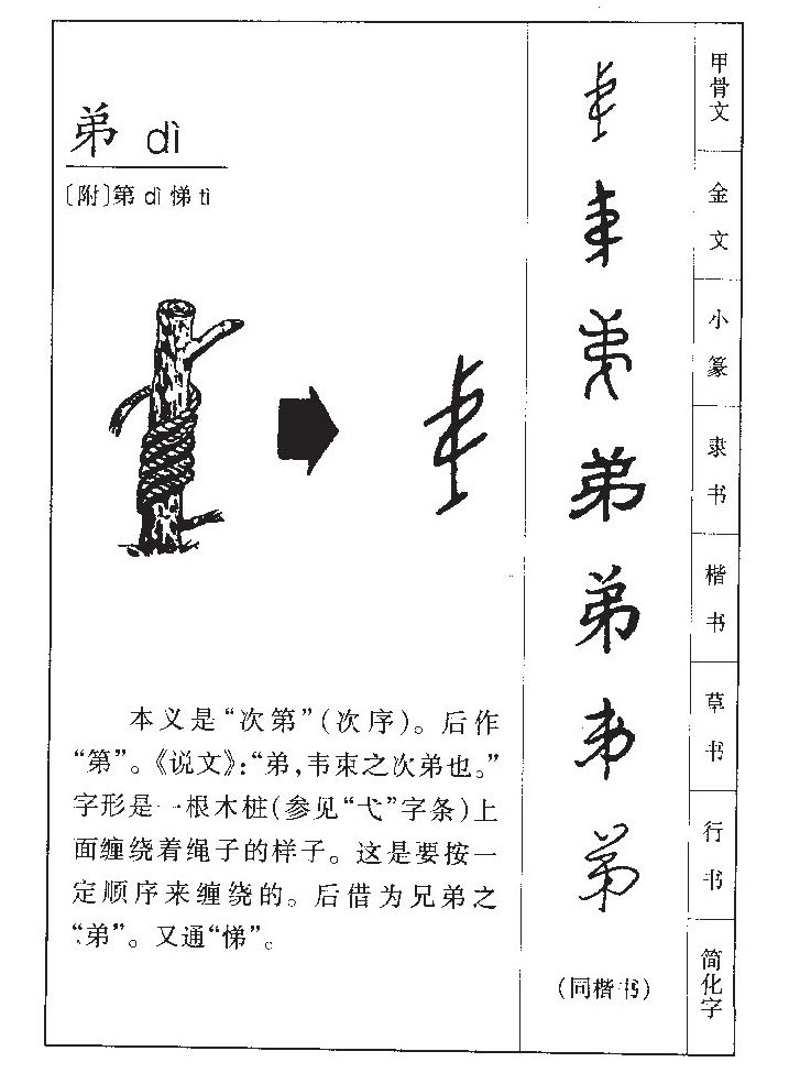 弟字字源字形