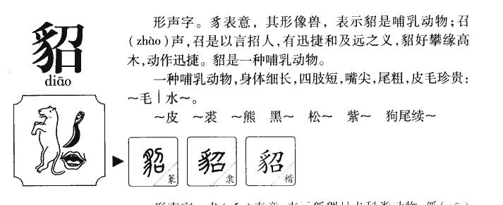 貂字字源字形