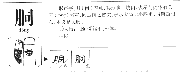 胴字字源字形