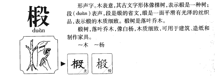 椴字字源字形