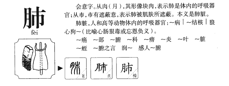 肺字字源字形