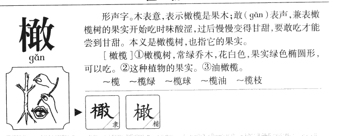 橄字字源字形