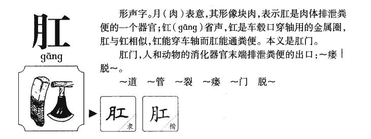 肛字字源字形