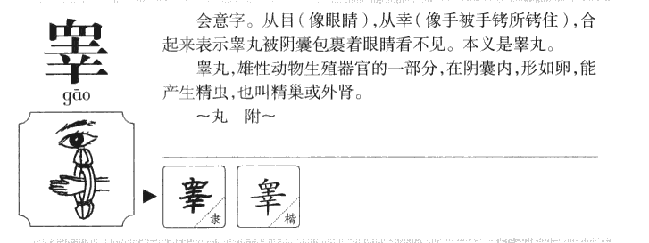 睾字字源字形