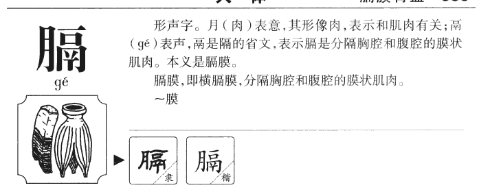 膈字字源字形