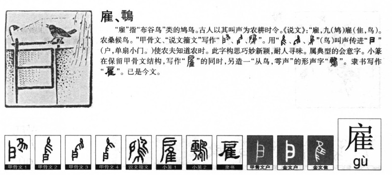 雇字字源字形