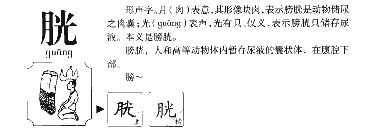 胱字字源字形