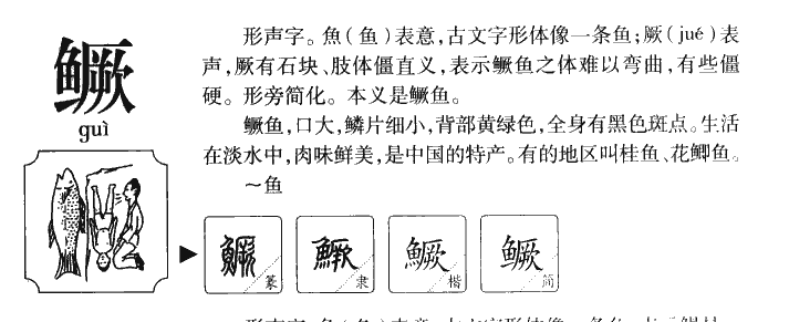 鳜字字源字形
