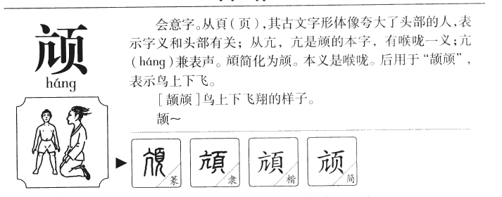 颃字字源字形