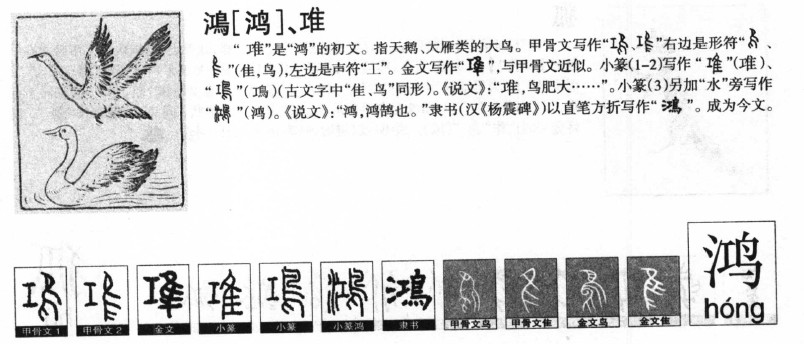 鸿字字源字形