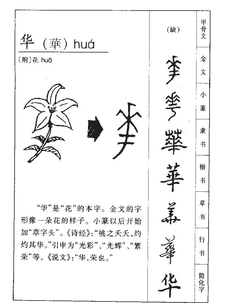 华字字源字形