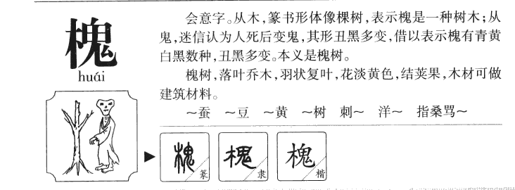 槐字字源字形