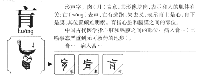 肓字字源字形