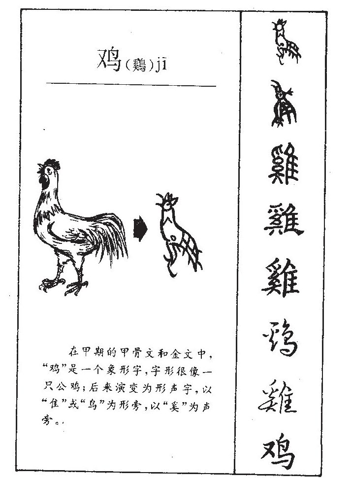 鸡字字源字形