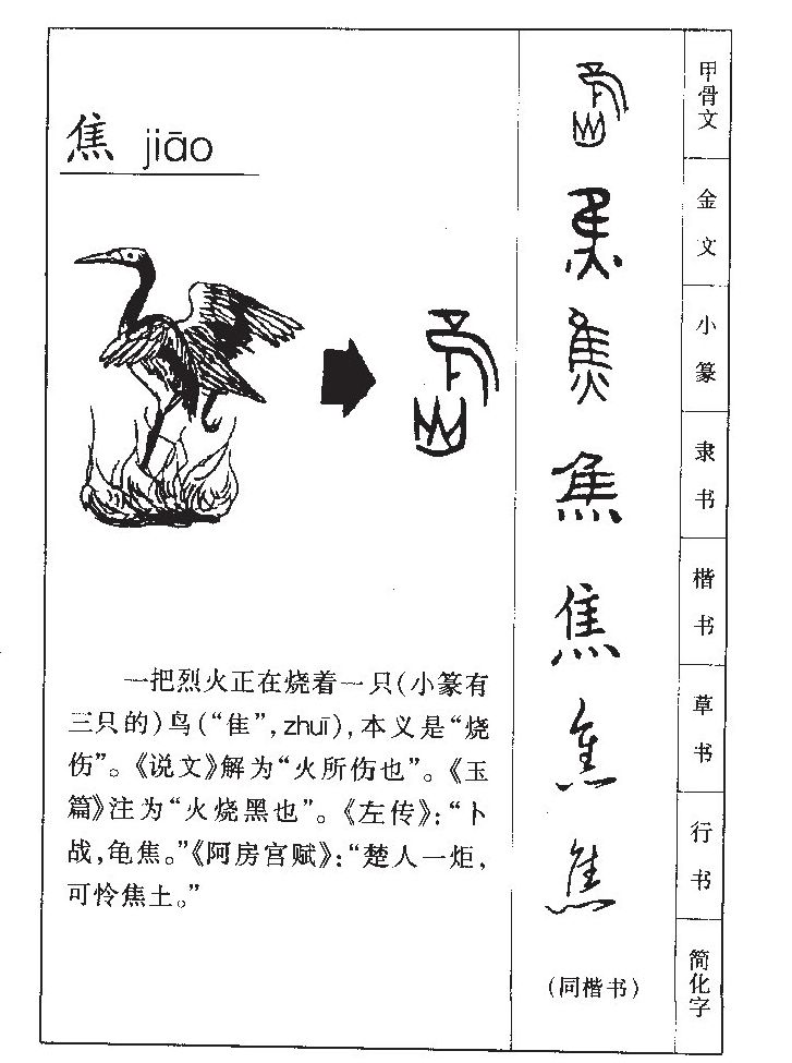 焦字字源字形