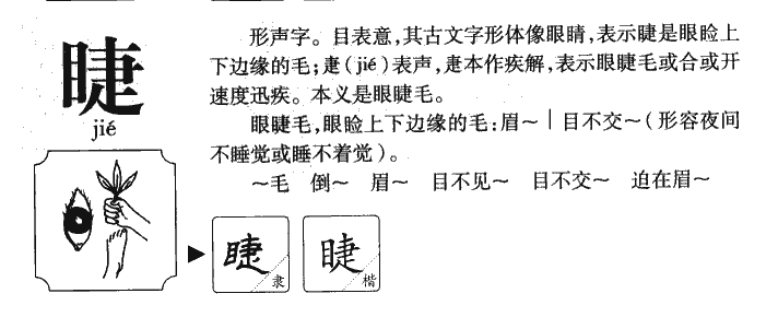 睫字字源字形