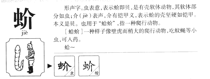 蚧字字源字形