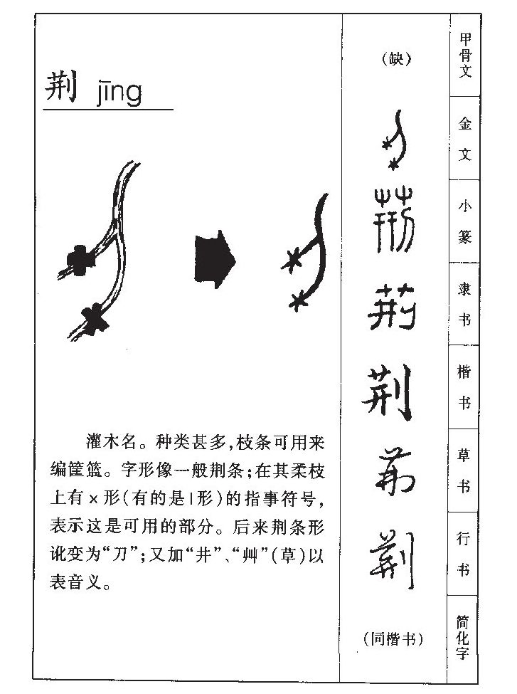荆字字源字形