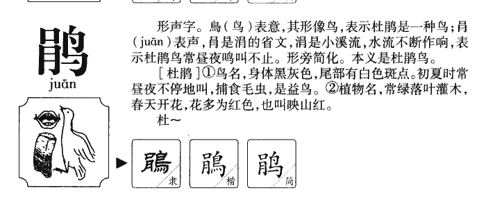 鹃字字源字形