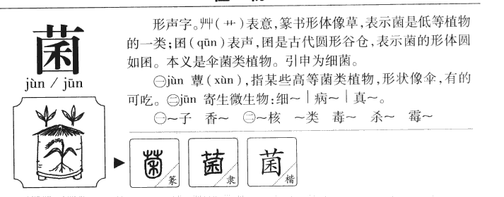 菌字字源字形