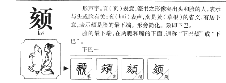 颏字字源字形