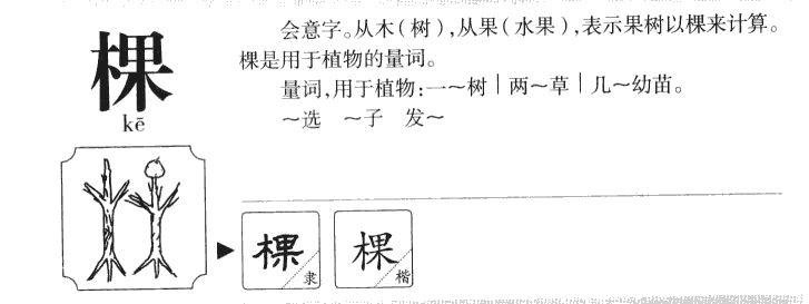 棵字字源字形