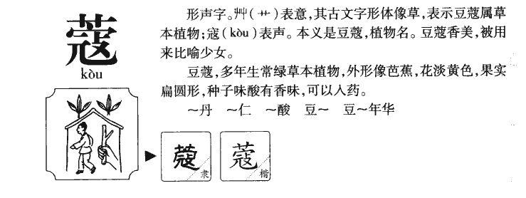 蔻字字源字形