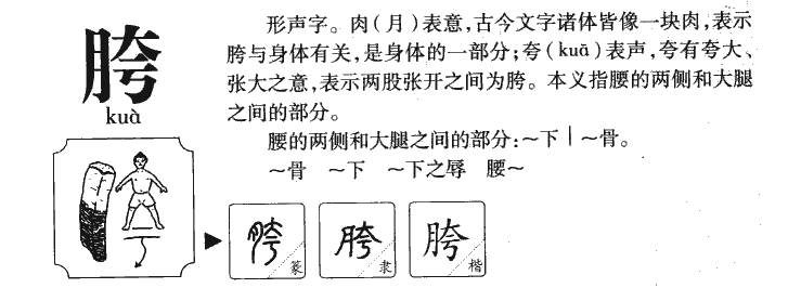 胯字字源字形