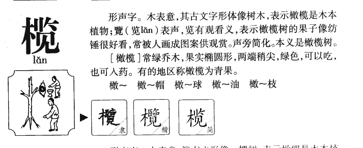 榄字字源字形