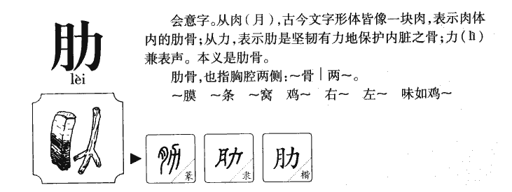 肋字字源字形