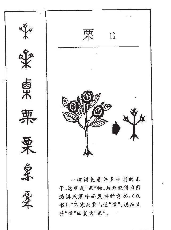 栗字字源字形