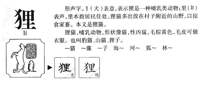 狸字字源字形