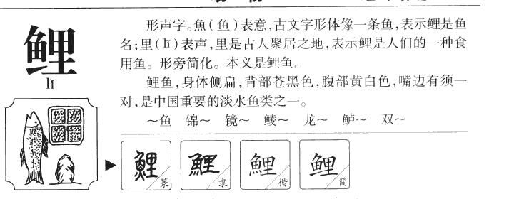 鲤字字源字形