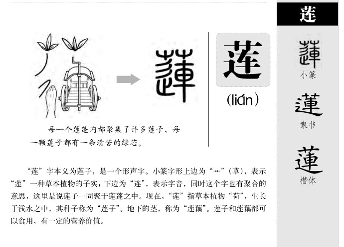 莲字字源字形