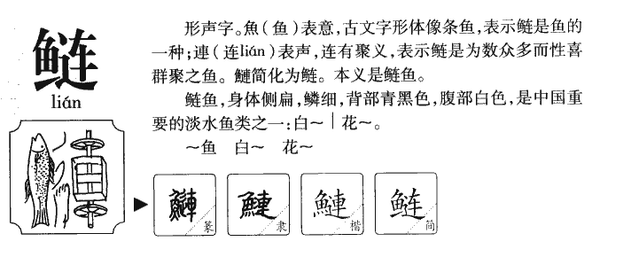 鲢字字源字形