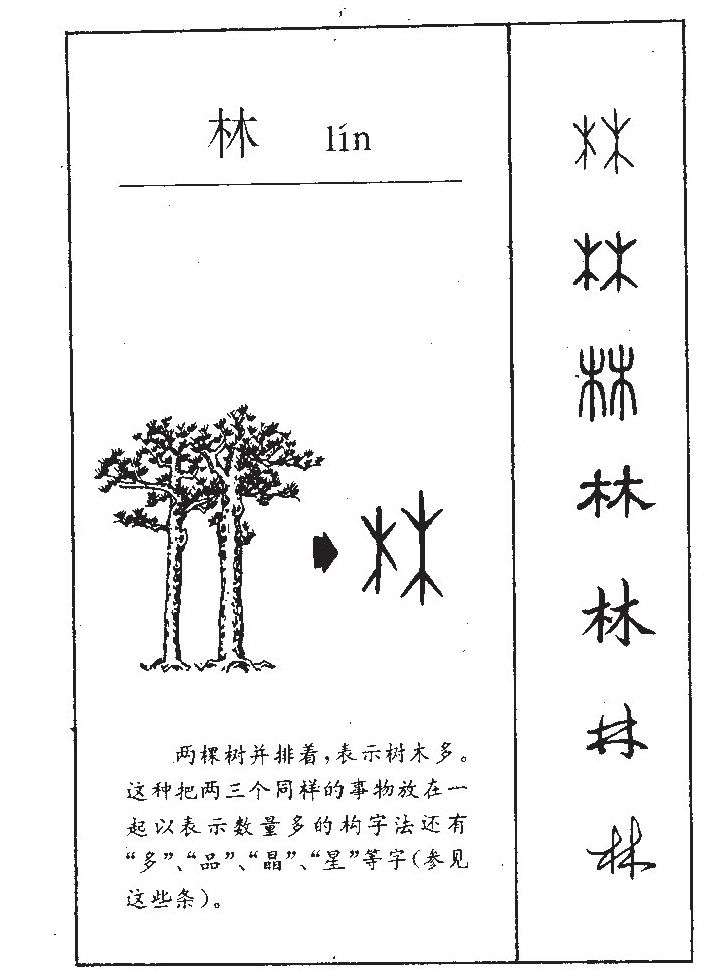 林字字源字形