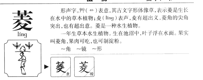 菱字字源字形