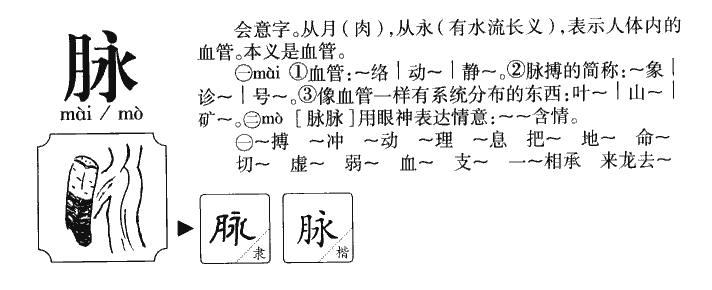 脉字字源字形