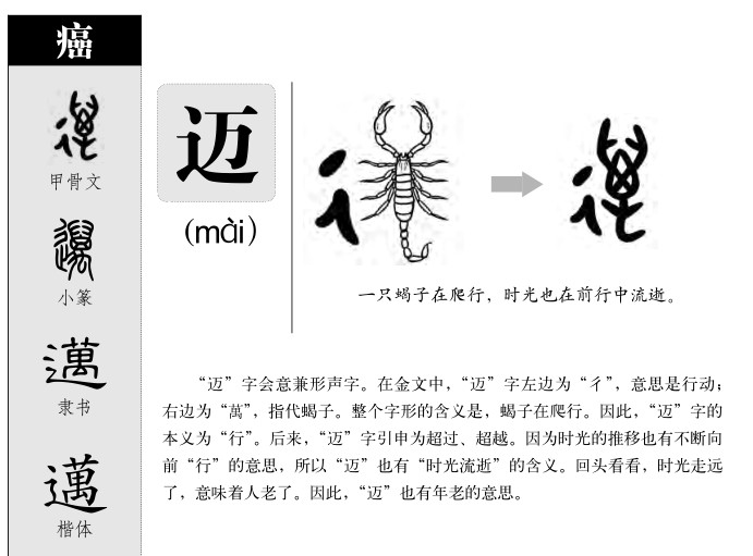 迈字字源字形