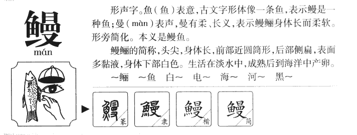 鳗字字源字形