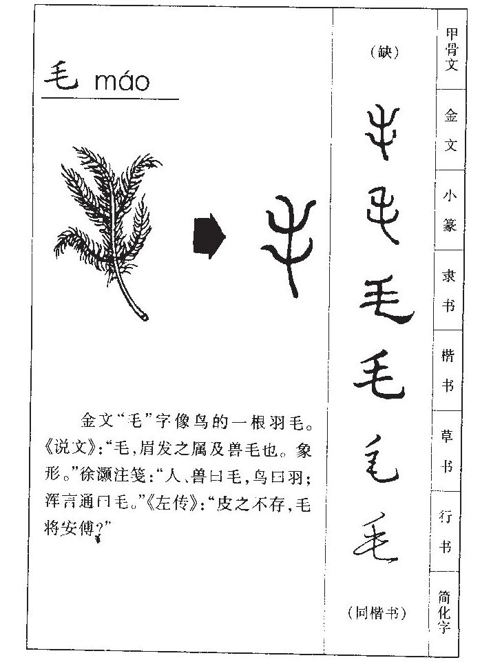 毛字字源字形