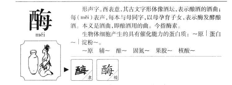 酶字字源字形