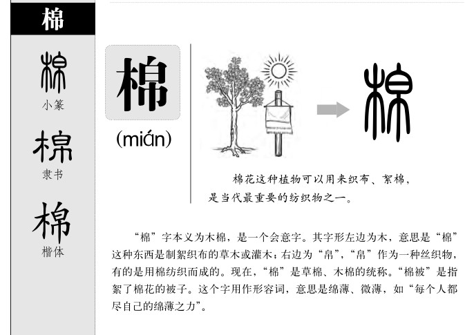 棉字字源字形