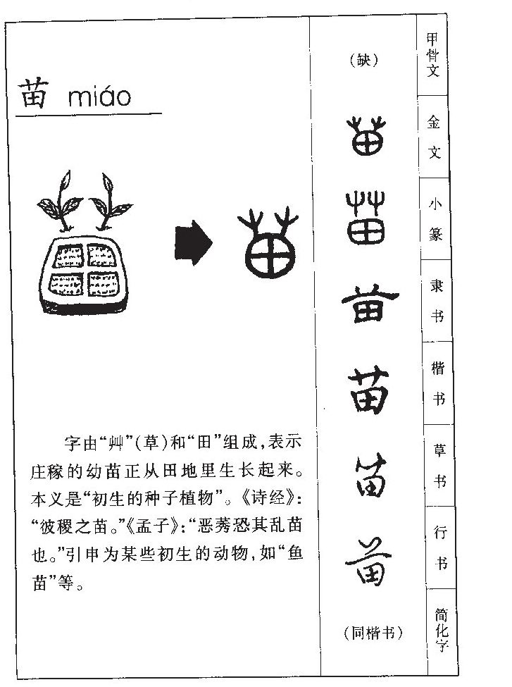 苗字字源字形