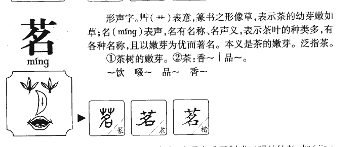 茗字字源字形