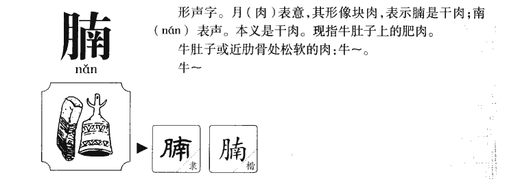 腩字字源字形